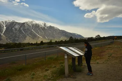 DSC_6602 (Large).JPG